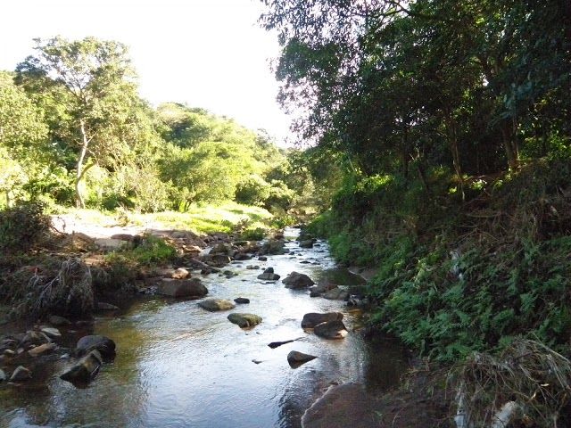 Palmiet Nature Reserve